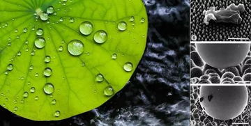 化纖不透氣？你媽覺得該這么穿，真不一定對！